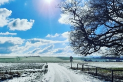 Sonne in Bornich Adolfseiche - 11. Februar 2021