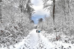 Schnee in Weisel - 4. Februar 2021