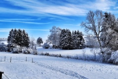 Winterwandern in Niederwallmenach - 8 Januar 2022